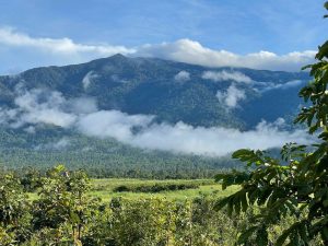 カンボジア最高峰のアオラル山（1813 m）とメロン畑